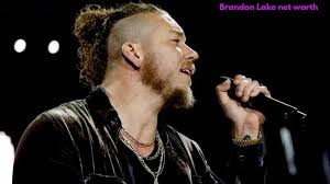 brandon lake net worth