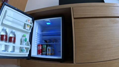 mini fridge with freezer singapore