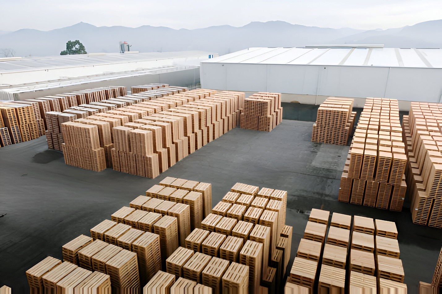 How Custom Pallet Solutions Drive Modern Supply Chain Optimization